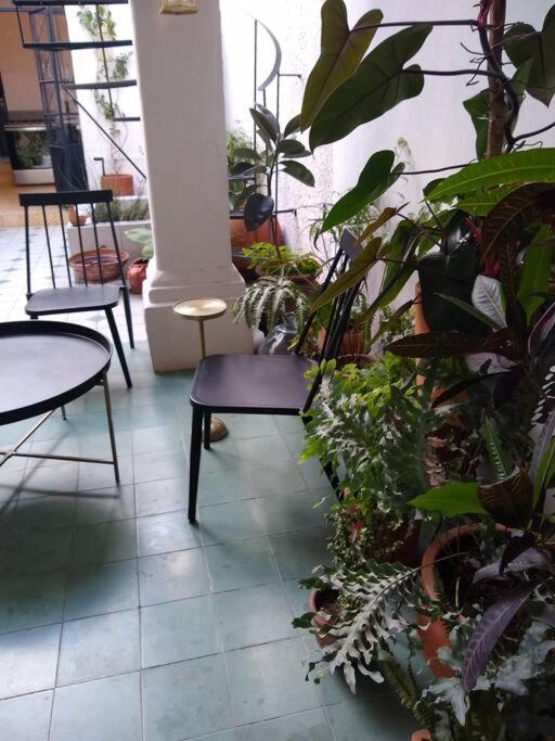 הוילה גואדלחארה Casa Cuauhtemoc מראה חיצוני תמונה