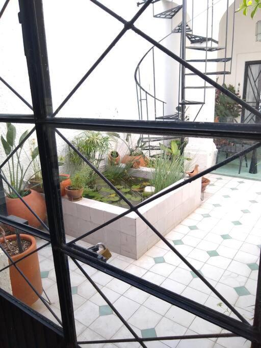 הוילה גואדלחארה Casa Cuauhtemoc מראה חיצוני תמונה