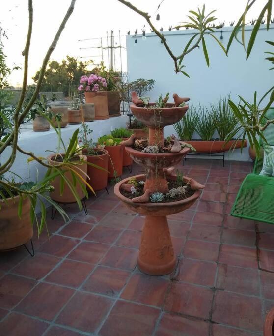 הוילה גואדלחארה Casa Cuauhtemoc מראה חיצוני תמונה