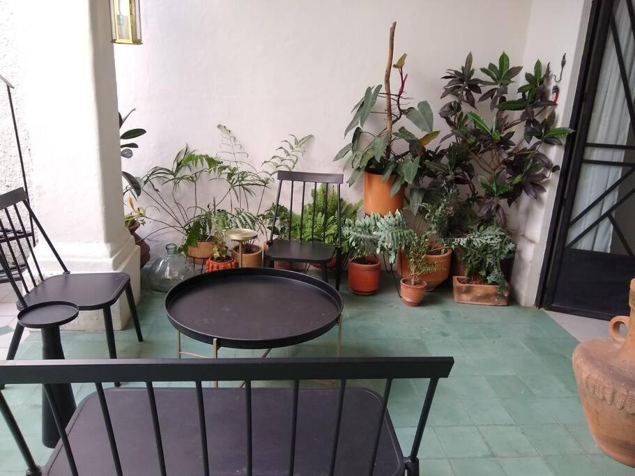 הוילה גואדלחארה Casa Cuauhtemoc מראה חיצוני תמונה